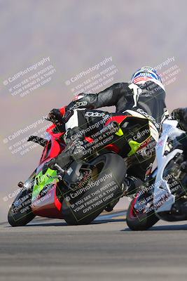 media/Nov-12-2023-SoCal Trackdays (Sun) [[5d1fba4e7d]]/Turn 9 Backside (1015am)/